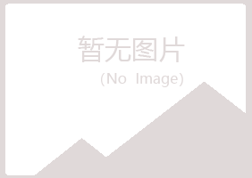 新疆夏岚保险有限公司